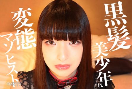 481SACZ-260 破舊的 2