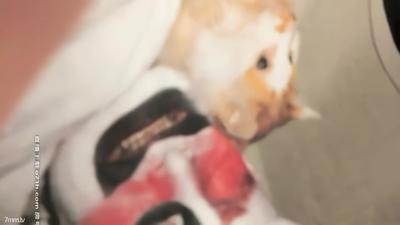 【AI畫質增強】2020-08-20 小寶尋花酒店約炮遲到身材高挑的兼職外圍穿著高跟幹口爆吞精