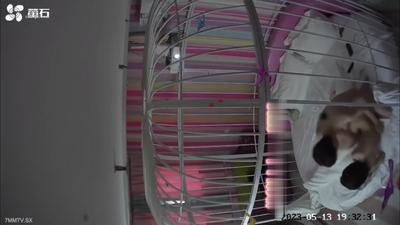 2023年5月 EZVIZ Cloud Hotel Xintaiがホワイトカラーカップルに鳥かごの中でセックスする感覚を体験させることをデビュー